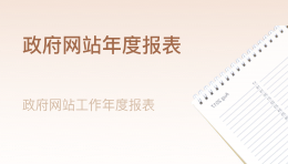 政府網(wǎng)站年度報表